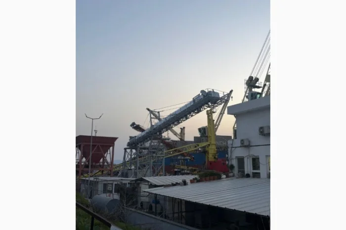 Автоматический телескопический радиальный конвейер PTRC2000- фото № 5