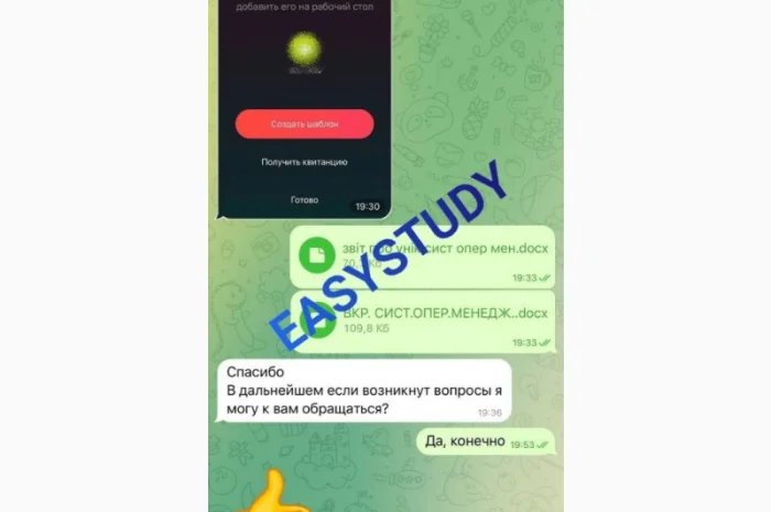 Заказать качественное эссе для успешной учебы- фото № 4