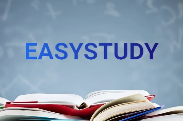 Написание эссе на заказ- фото № 1