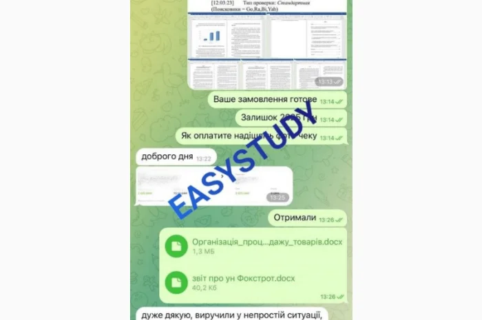 Написание эссе на заказ- фото № 18