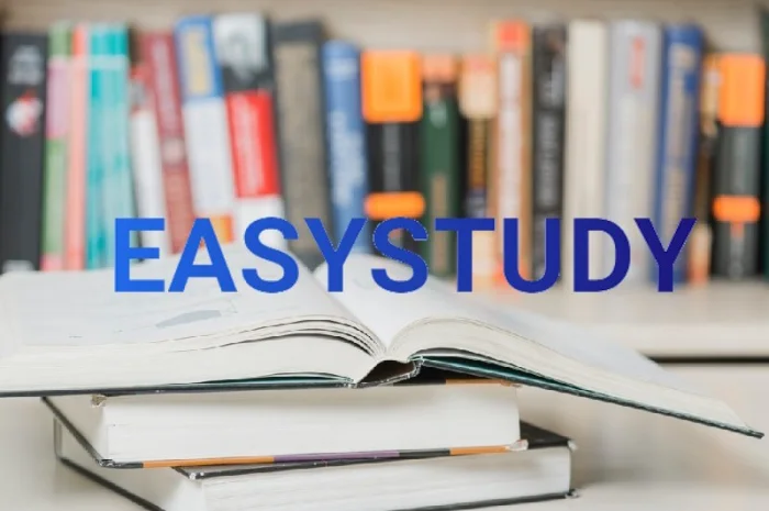 Исследовательское предложение под ключ- фото № 1