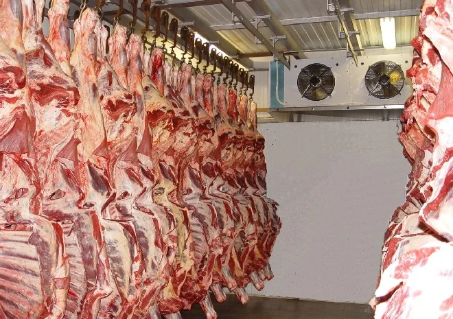 Морозильная камера: подбор и услуги- фото № 7