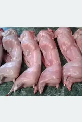 Продажа свежего мяса кролика- фото № 1