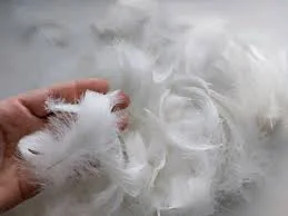 Покупаем гусячье и утиное перо в Черкассах- фото № 1