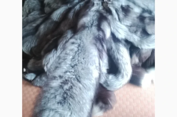 Купую шкури куниці дорого- фото № 1