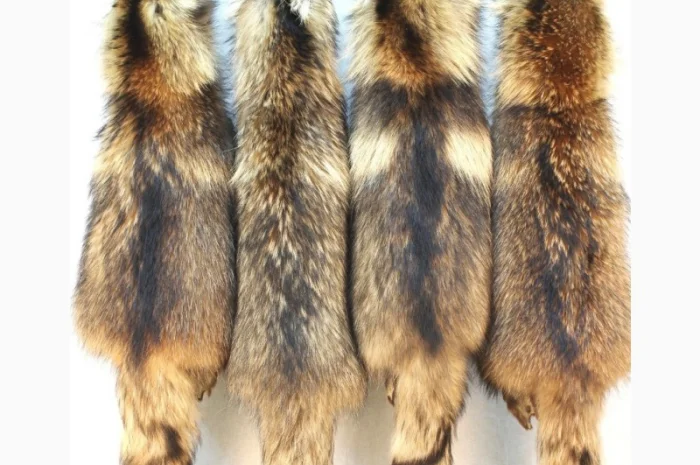 Шкуры енота и енотовидной собаки в продаже- фото № 1