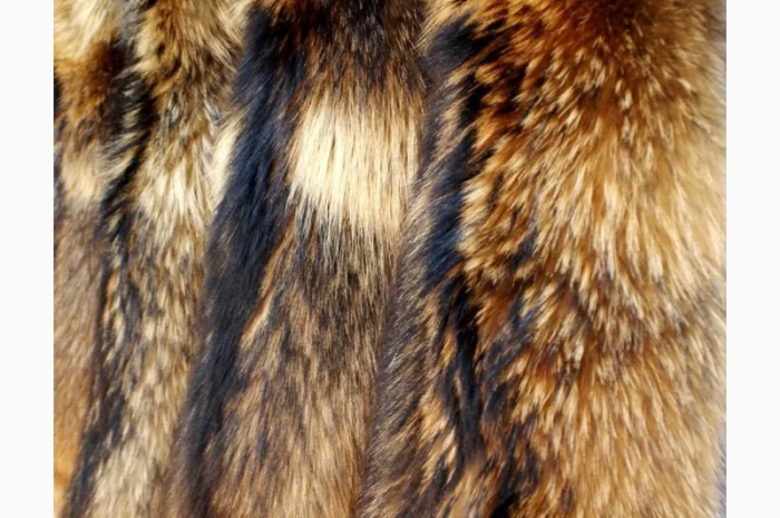 Шкуры енота и енотовидной собаки в продаже- фото № 2