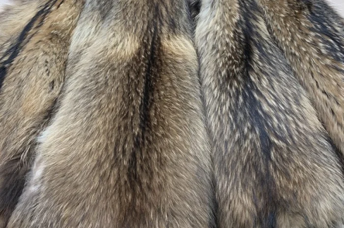 Шкуры енота и енотовидной собаки в продаже- фото № 3