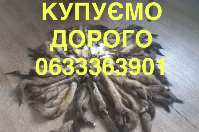 Купуємо хутро лісової куниці та шкіри- фото № 1