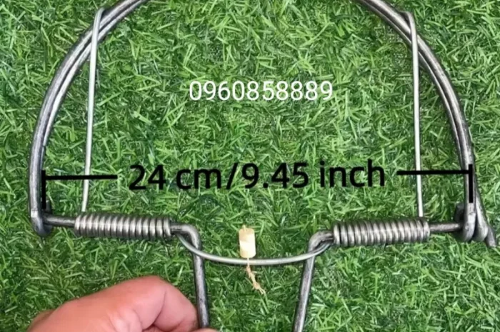 Эффективные пастки на фазана и куропатку- фото № 1