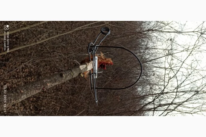 Капкан на куницю К2с у продажу- фото № 3