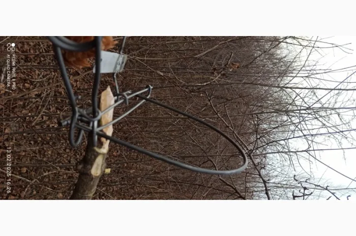 Капкан на куницю К2с у продажу- фото № 4