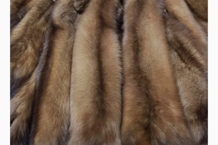 Куплю шкури куниці лісової та кам’яної- фото № 1