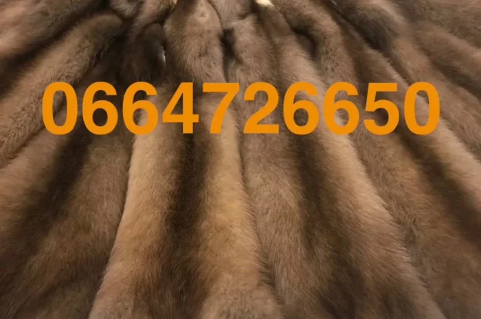 Пропонується шкура куниці, багато в наявності- фото № 1