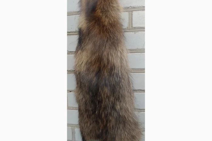 Продається хутро лисиці- фото № 5