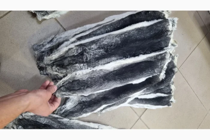 Купуємо шкурки шиншил дорого- фото № 1