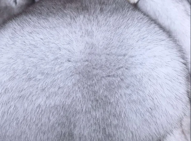 Шкуры песца вуалевого на продажу- фото № 1