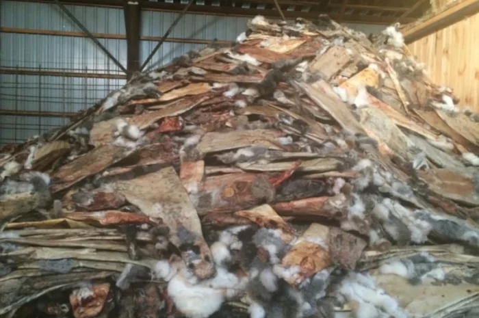 Куплю шкури кролика оптом- фото № 1