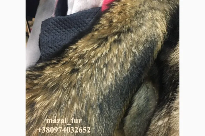 Продажа шкур енота- фото № 1