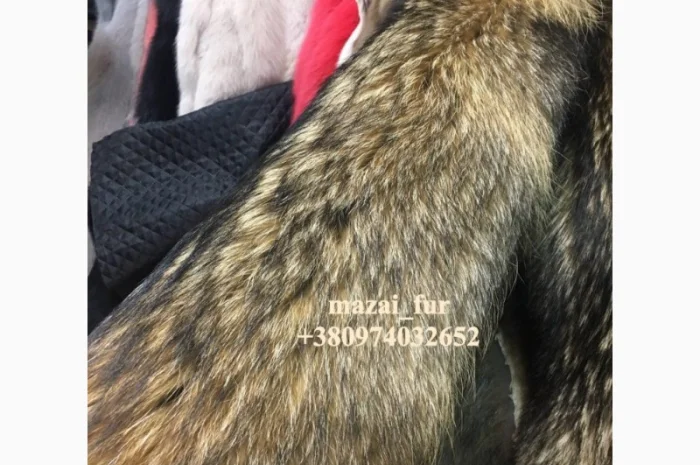 Продажа шкур енота- фото № 2