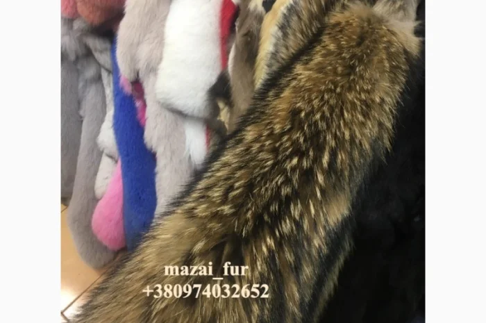 Зимние шкуры енота в продаже- фото № 2