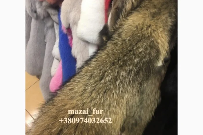 Зимние шкуры енота в продаже- фото № 3