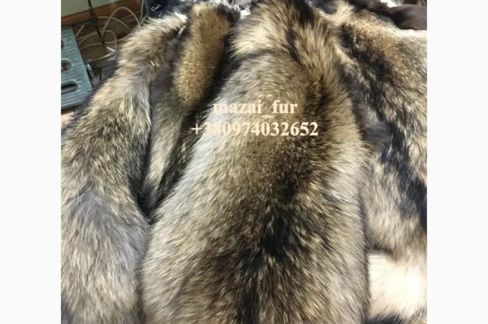 Шкуры енота кисточковый – продажа- фото № 2