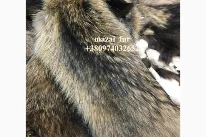 Шкуры енота кисточковый – продажа- фото № 3