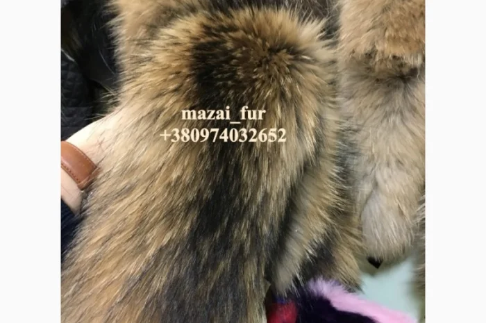 Шкуры енота кисточковый – продажа- фото № 5