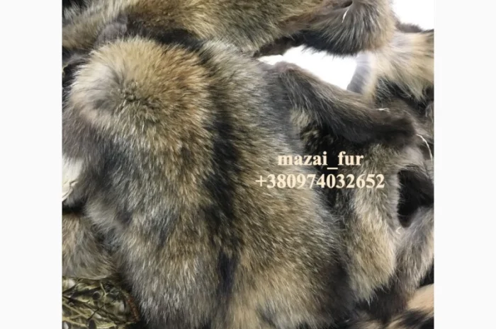 Шкуры енота кисточковый – продажа- фото № 6