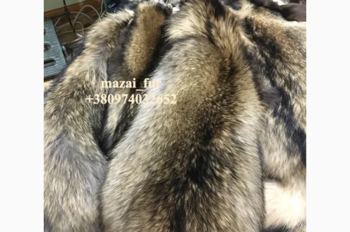 Шкуры енота кисточковый – продажа- фото № 7