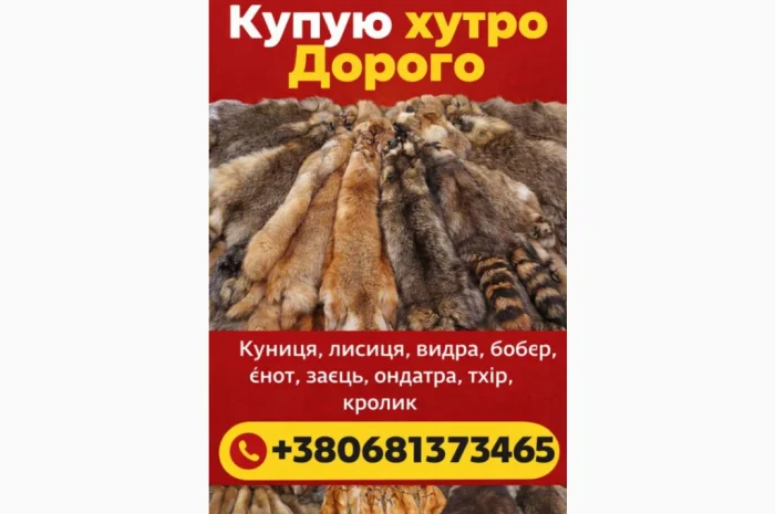 Куплю шкуры куницы и других животных- фото № 1