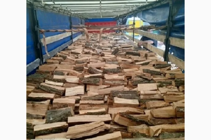 Продажа дров метрических- фото № 1