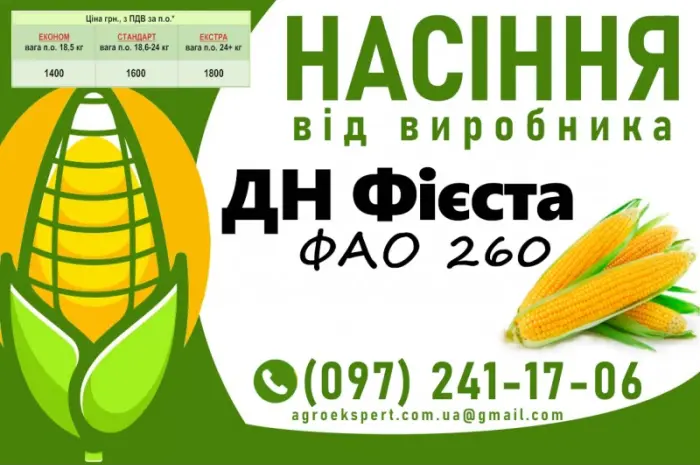 Насіння кукурудзи 2025 – гібрид ДН Фієста (ФАО 260) от производителя- фото № 1