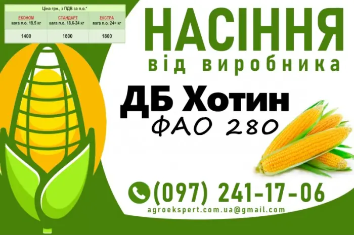 Насіння кукурудзи ДБ Хотин (ФАО 280) 2025 року від виробника- фото № 1