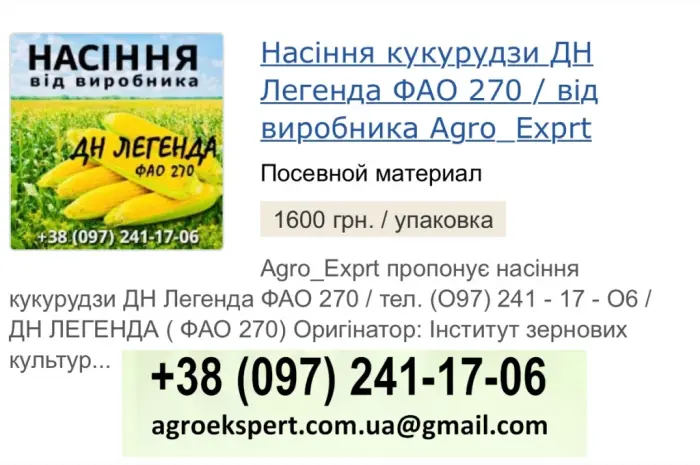 Насіння кукурудзи ДН Легенда (ФАО 270) від Agro_Exprt- фото № 1