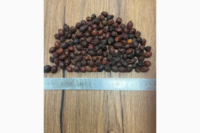 Продаж сушеної шипшини- фото № 1