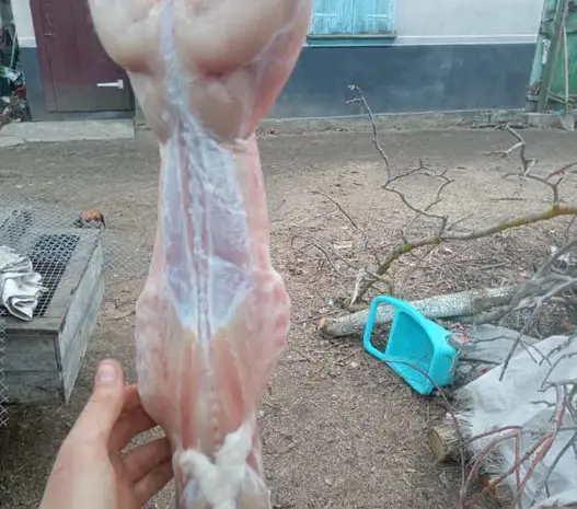 Продам тушки кролика также живые- фото № 1