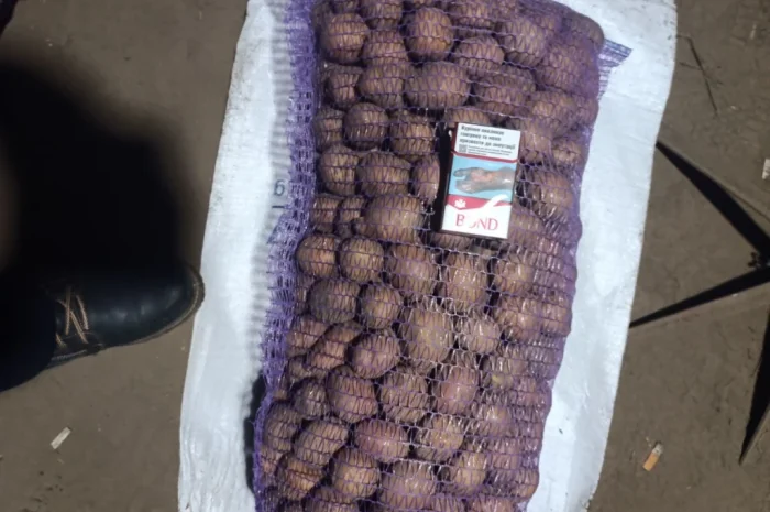 Продажа качественной посадочной картошки- фото № 2