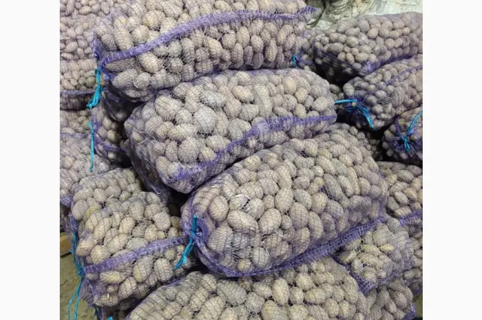 Продам семенной картофель Гранада ll - репродукции- фото № 4