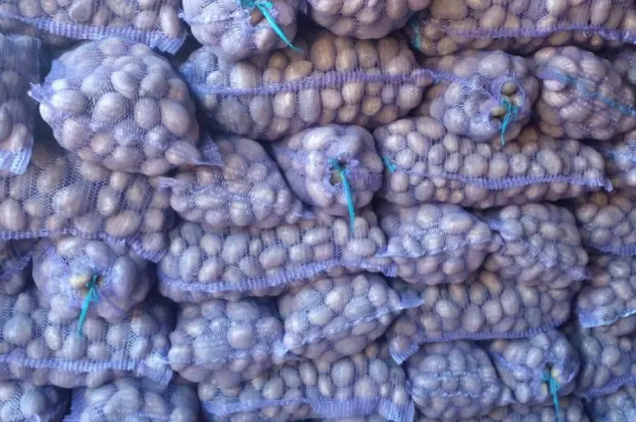 Продам товарный картофель- фото № 2