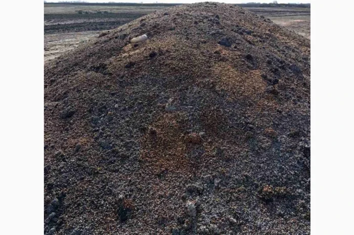 Продается зіпсованная кукуруза- фото № 4