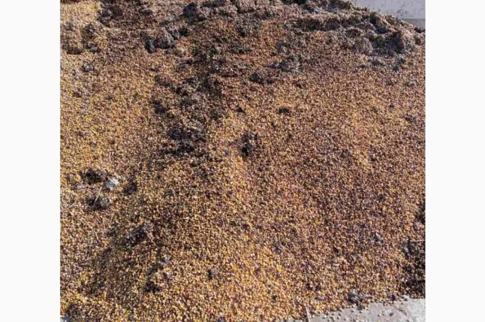 Продается кукурузные зерновые отходы для топлива- фото № 2