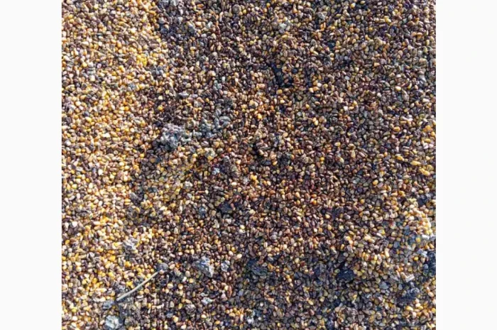 Продается кукурузные зерновые отходы для топлива- фото № 3