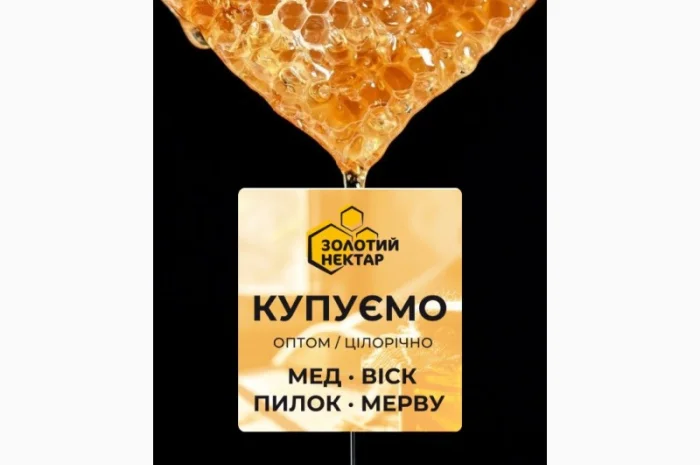 Закупка натурального меда оптом- фото № 1
