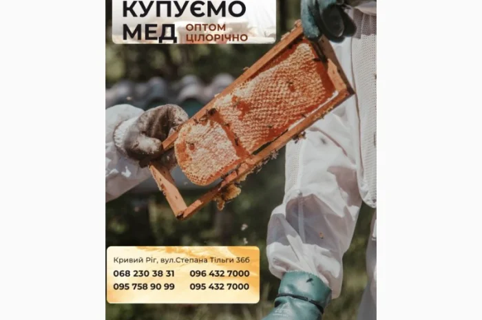 Оптовая закупка натурального меда- фото № 1