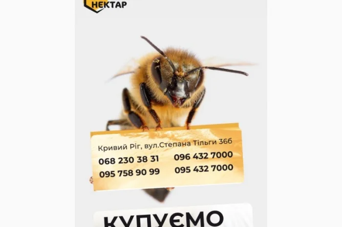 Закупаем натуральный мед 2025 года- фото № 1