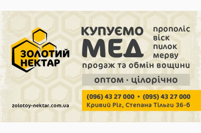 Закупівля меду гречаного (ціна до 150 грн/кг)- фото № 1
