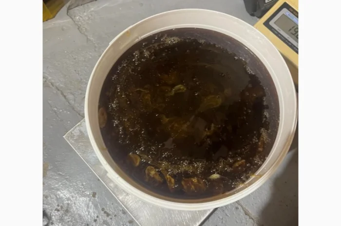 Пропонується гречаний мед урожаю 2025 року- фото № 1