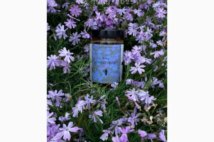 Продается весенний и летний мед- фото № 2